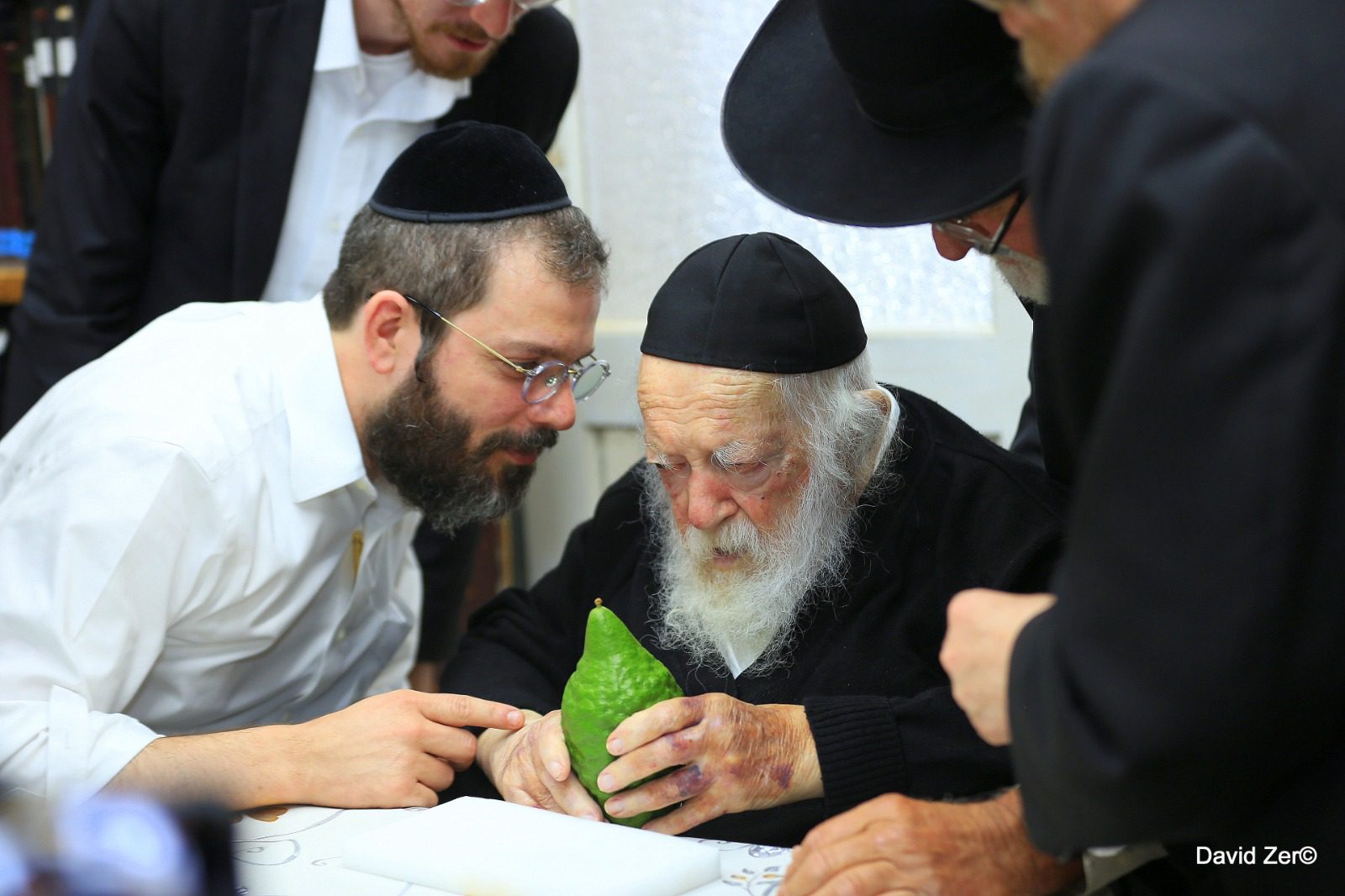 ט”ו באב- מרן שליט”א בוחר אתרוג לחג הסוכות